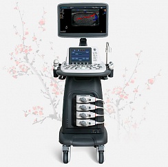 Ультразвуковой сканер Sonoscape S20Pro